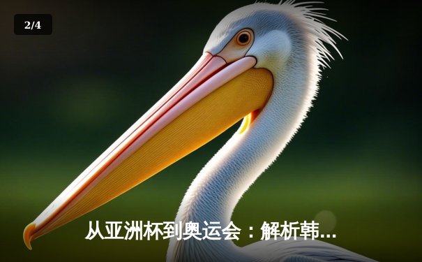 从亚洲杯到奥运会：解析韩国体育的崛起密码与未来挑战 - 2